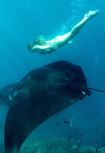 Buceo Actividades Buceo Actividades