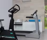 Villa Issi, Gimnasio