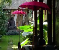 Villa Bamboo, Detalle del jardín